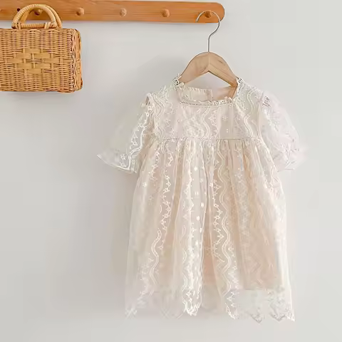 Summer Baby Dress Clothes 2-6Yrs Toddler Clothes Lace Embroidery Girls Princess Party Toddler Girl D