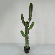 Cactus Manufacturer Direct Sale Material Green Plant Cactus Fake Plastic Simulation Small Series Cac