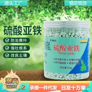 【樂樂屋】硫酸亞鐵花用酸性肥料通用型茉莉花卉補鐵花肥杜鵑花梔子花專用肥