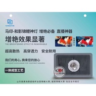 Mayin Tanning Fish Tank Led Light for Arowana and koi Fish Suitable for outdoor and indoor aquariums