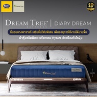 Satin Dream Tree ที่นอนไฮเดนซิตี้โฟม  รุ่น Diary Dream หนา 9 นิ้ว