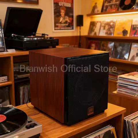 200W Passive Sound Box 10 Inch Deep Bass Subwoofer 4ohm Loudspeakers Sound System for Home Theater C