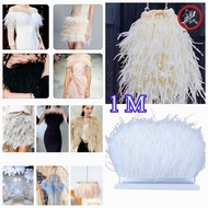 1 Meter Ostrich Feather Premium Ostrich Feather Feather Dress Decoration/ LONG FEATHER LACE Premium 