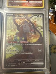 月月熊 EX 寶可夢卡牌