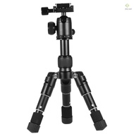 Ultra Compact Desktop Mini Tripod Kit with Ball Head for Canon  DSLR Camera