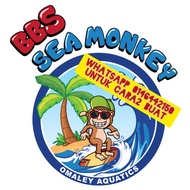 BBS/ARTEMIA Jenama SEA MONKEY || SMALL ROE || >90% HATCHING RATE || ARTEMIA || BBS HALUS