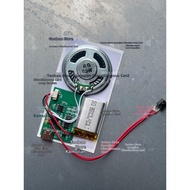 JINTONGCAIZI | Recordable Sound Module USB Download Magnetic Light Control MP3 Card