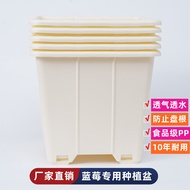 pasu bunga hiasan ruang tamu tinggi pasu bunga hiasan tinggi Blueberry Planting Special Pot 30L Lite