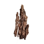 Driftwood for Aquarium Fish Tank Aquascape kayu aquarium 蜂窝木 虾木