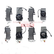 Keweisi K16 Water Tank Original Factory NB300/NC250/450/CBS300/MT250 Engine Radiator