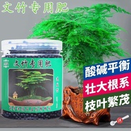 ReadyStock Asparagus Setaceus dwarf/Retrofractus special fertilizer 400gram 文竹/云竹/逢莱松专用肥料文竹肥料400克