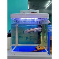 SOBO Mini Aquarium Set T-240F (White) With Pump Filter Led Light