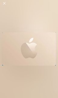 Apple store gift card 1000$
