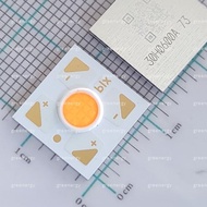 BXRH-30H0600-A-73 cob led 3000k yellow