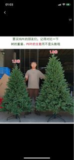 訂做 大型聖誕樹 1.5 米-2 米
