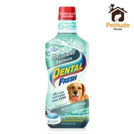 Synergy Labs Dental Fresh Original 473.17ml