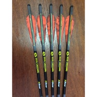 Archery pure carbon arrow Deer Crossing