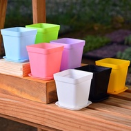 2023 NEWThick Small Black Square Wholesale Plastic Flowerpot Colorful Succulent Flower Pot Seedling Small Square Pot Suc