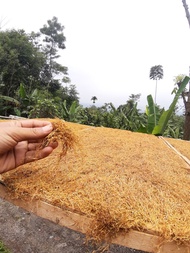 Daun Talas Beneng kering 250g Tales Tradisional tipe Premium