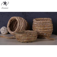 Fenteer Grass , Great for Wedding Favors, Party Favors, Florals or Baby Showers