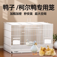 [Pets Must-Have] Duck Special Cage Cole Duck Cage Supplies House Nursing Room Household Indoor Outdo