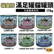 Cat Food {BABY Store}