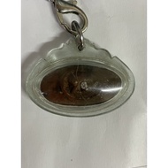 龙婆碧纳 （老天眼）这个天眼是可以给你感应到一些特别的东西