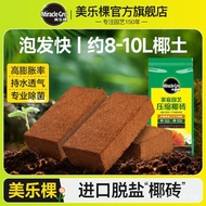 Nutritious Soil Coconut Shell Flower Soil Planting Merlot Planting Universal Coconut Brick Soil Plan