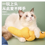 [SG] Catnip Candy Biting Toy: Comforting Pillow Hug Chaser Toy for Cats