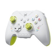 BIGBIG WON Rainbow 2SE Hall-effect joystick Gamepads Three Mode Gaming Controllers Hall Effect Trig