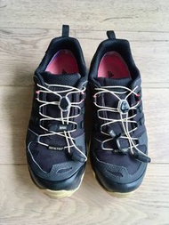 👟 Adidas Terrex Gore tex Hiking 防水波鞋 / 行山鞋 