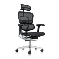 Ergohuman Elite 2 Ergonomic Full Mesh Ergonomic Chair / Office Chair / Gaming Chair