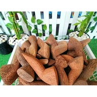 KAYU Wood grinder / spice grinder / pestle / spice grinder