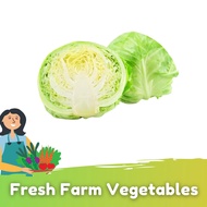 Kobis Beijing /  Beijing Cabbage  (800g+/-)