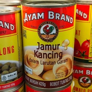 Ayam Brand Whole Mushrooms in Brine 420g