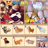 - Pet Balloon/Balloon/Walking Balloon/Puppy Balloon/Pig Balloon/Animal Balloon/Pullable Balloon/Walk