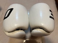 Fairtex ONE 拳擊手套 14oz