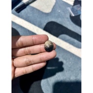 Batu permata Fossil Nibong Multicolour