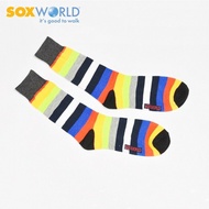 [SOXWORLD] sock hipster Soxworld Rainbow Stripes Adult Socks Men Socks Long Socks 19-800P