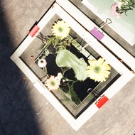 Print negative photos for transparent cyanotype | SILA READ THE DESCRIPTION IS HERE