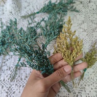 Clearance Sale Lover Grass Caspia Dried Flower Preserved Flower for DoorGift