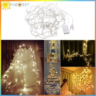 10m 100 Led Light String for Wedding Christmas Fairy Light