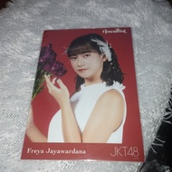 photopack freya flowerful