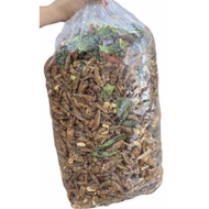 🔥READY STOCK🔥IKAN BILIS TOM YAM CAMPUR KACANG ORIGINAL THAILAND HALAL SEDAP DAN RANGUP 250GM RM10.00