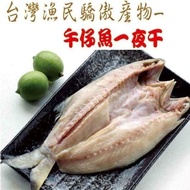 【海之醇】大規格午仔魚一夜干-6隻組(270-300g/隻)