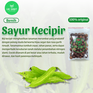 ( 100 Gram ) Benih Biji Sayuran Kecipir Lalap | Kecipir Sayur | Kecipir Hijau