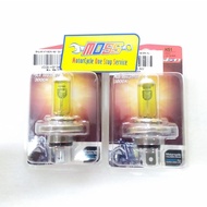 Autovision all weather H4 HS1 3000K 36W Motorcycle Bulb