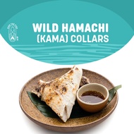 Dish The Fish Wild Hamachi (Kama) Collar (3 In A Pack, About 600G In Total)