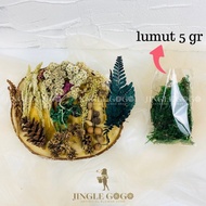 (1 Set) Mix Bunga Kering Campur untuk Hiasan Seserahan Mahar Sangjit Ringbox Craft Rustic Aesthetic 