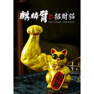 Lucky Cat Robbing Money Feng Shui Prosperity Congratulations Fortune Business Body Health Everything